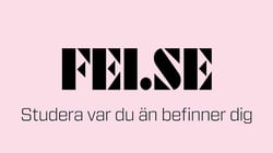 fei.se studera var du än befinner dig