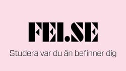 fei.se studera var du än befinner dig
